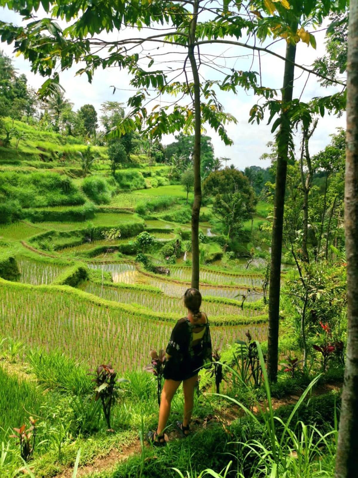 Tetebatu Hostel エクステリア 写真