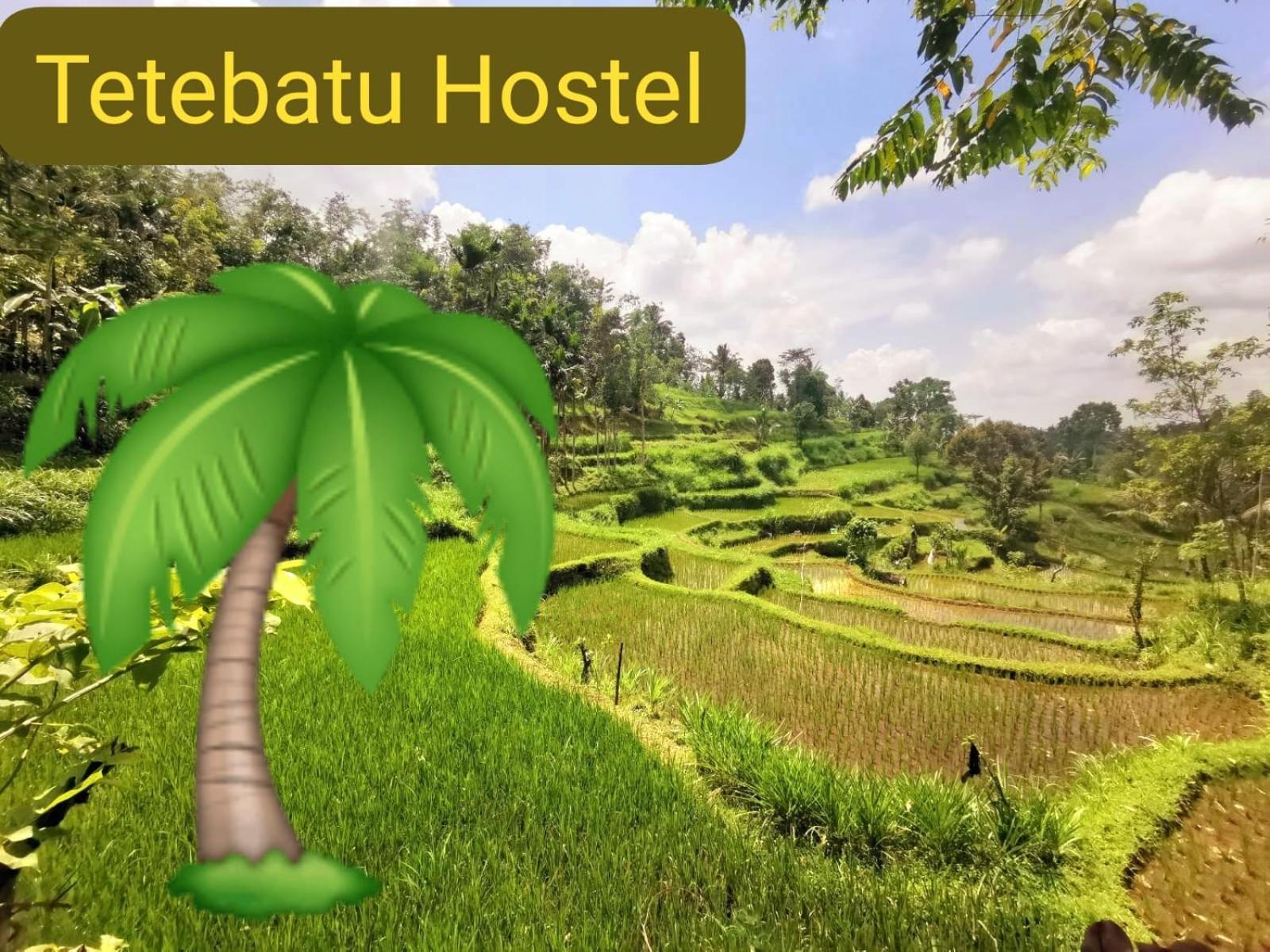 Tetebatu Hostel エクステリア 写真